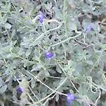 홈스테이 Chez Nous Dans Notre Petit Jardin