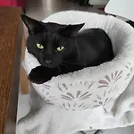 Chez Nous Dans Notre Petit Jardin 홈스테이 *