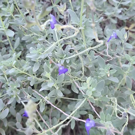 Séjour chez l'habitant Chez Nous Dans Notre Petit Jardin